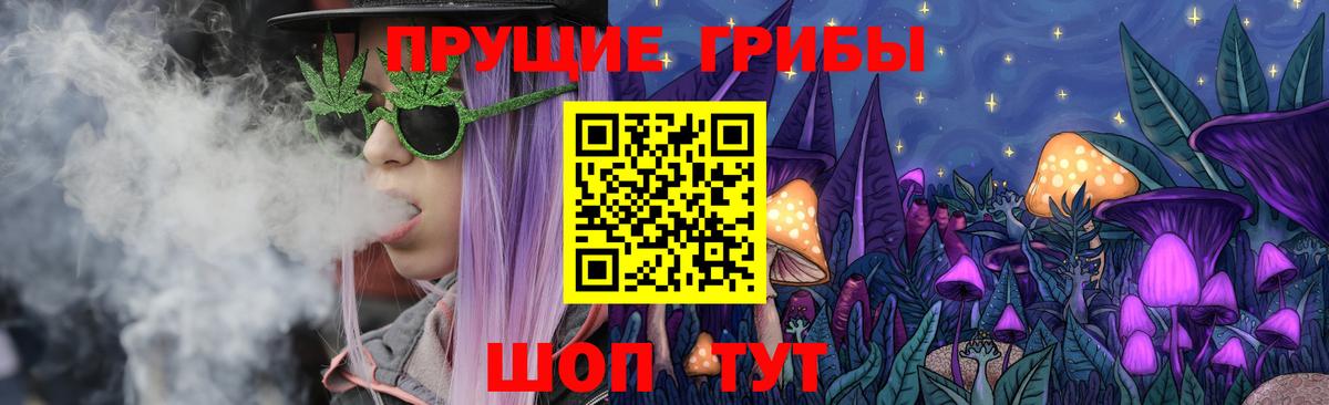 Псилоцибиновые грибы Cubensis Чистополь