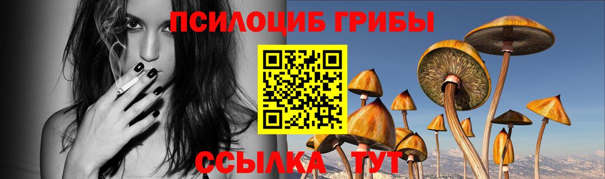 Чистополь  Галлюциногенные грибы ЛСД  Вход с VPN  Псилоцибиновые грибы ЛСД 